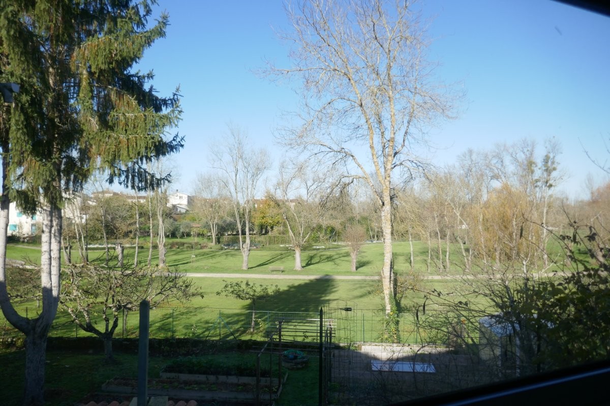 La vue du patio
