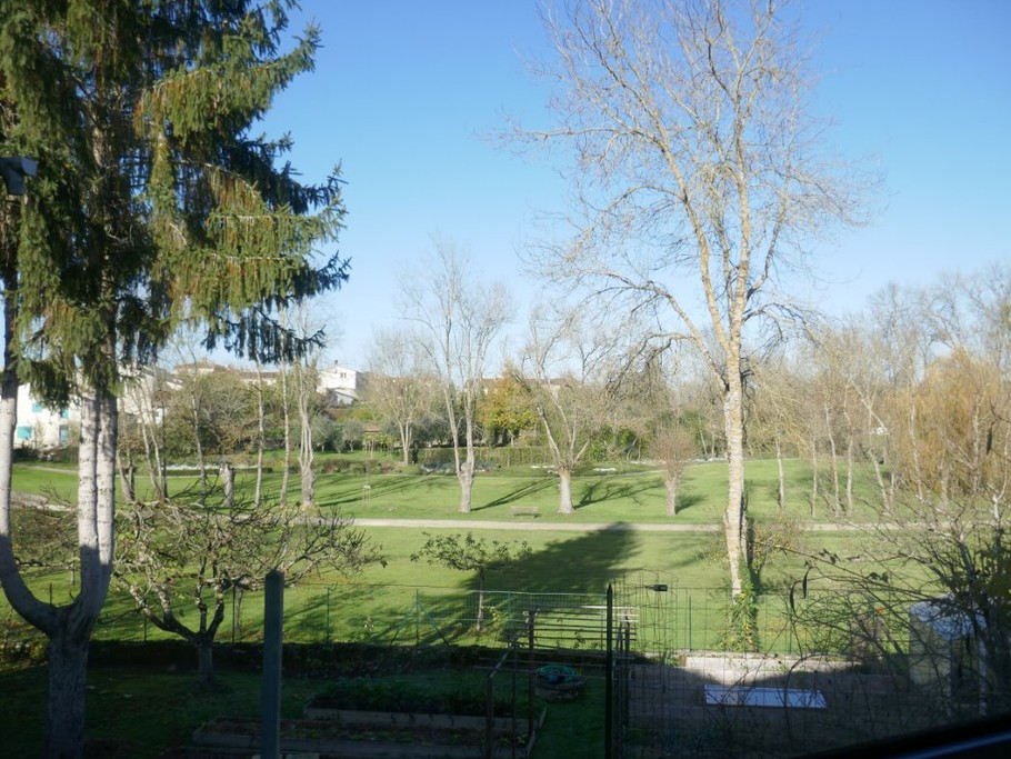 La vue du patio