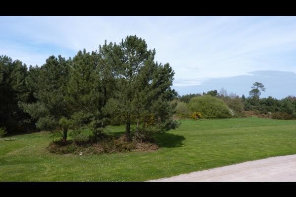 Résidence La Carquois Fréhel vue du parc