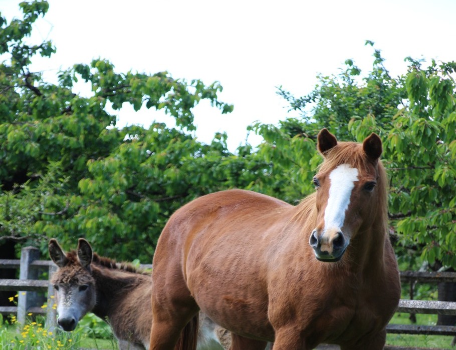 Photo n° 16 de la location