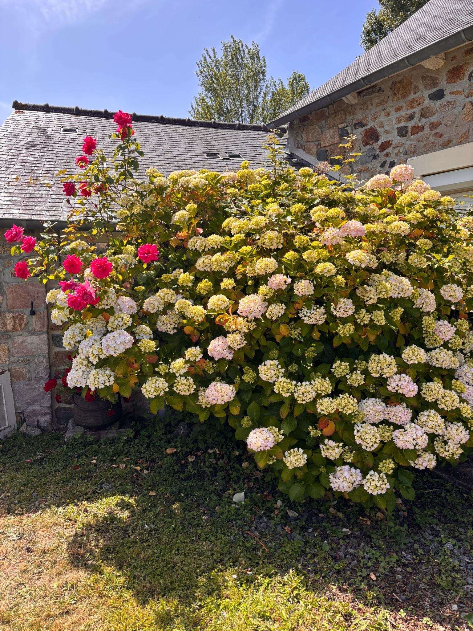 Photo n° 19 de la location