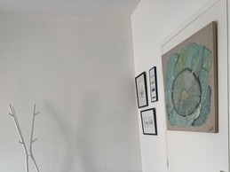 Image n° 5 de la location