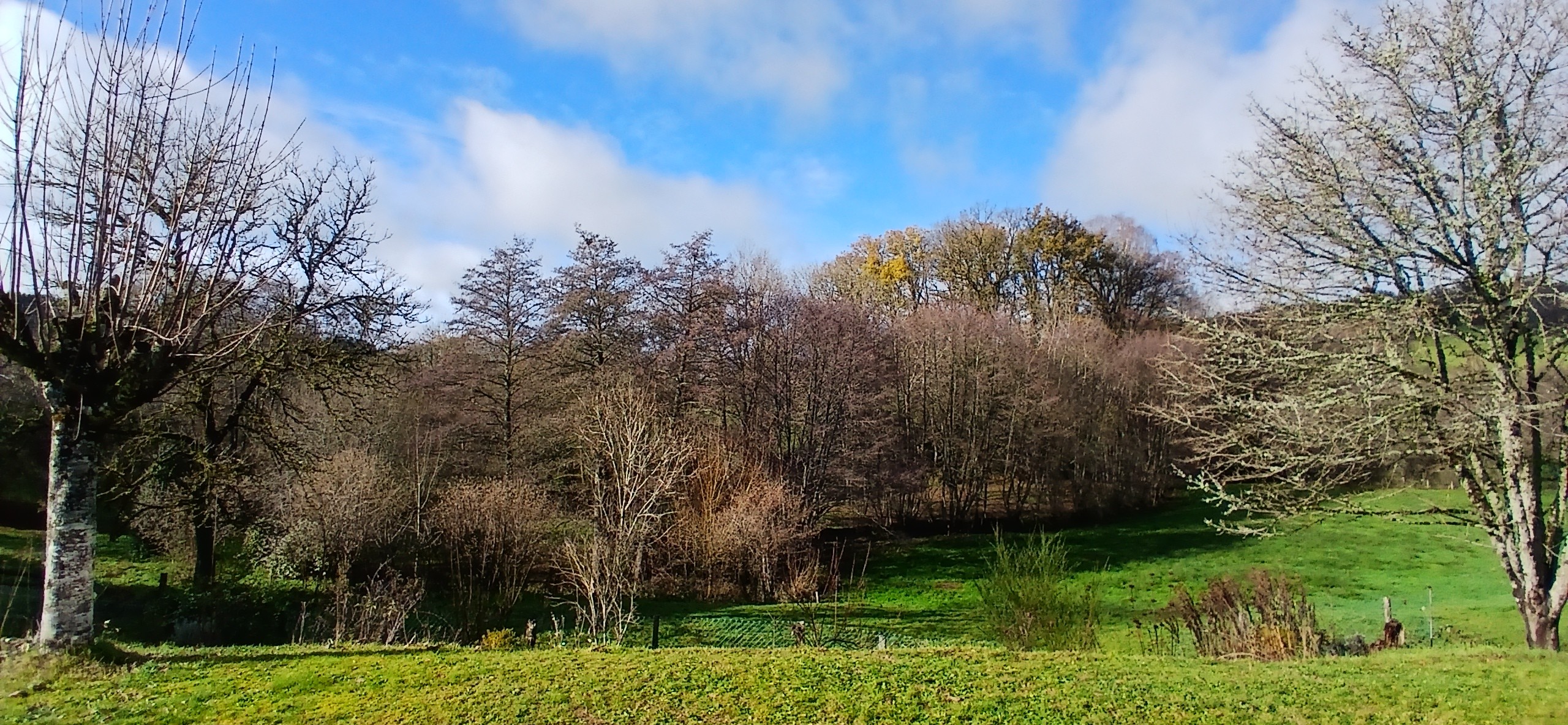 La Petite Maison, Faux  Mazuras : le jardin