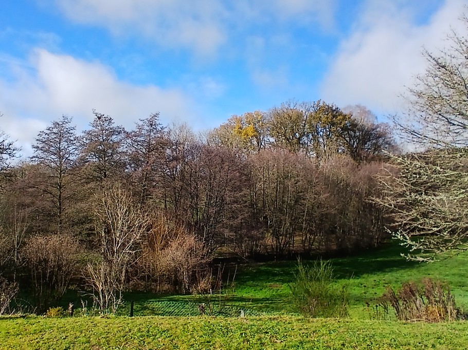 La Petite Maison, Faux Mazuras : le jardin
