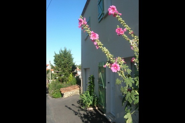 Photo n° 15 de la location