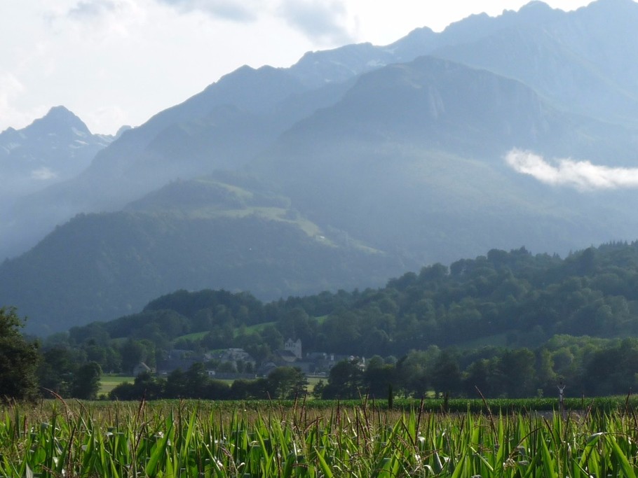 Photo n° 1 de la location