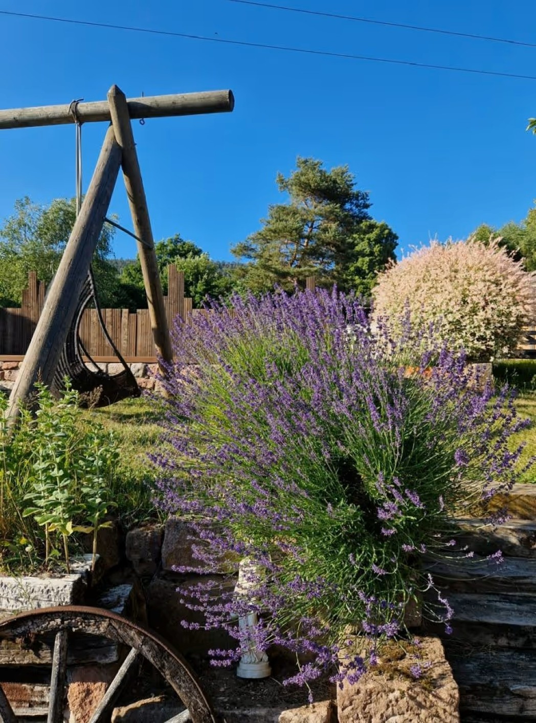 Gîte Ruine, esprit atypique, avec piscine et jacuzzi