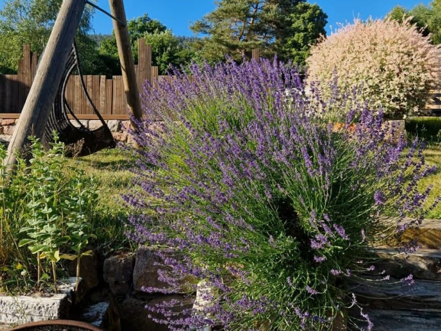 Gîte Ruine, esprit atypique, avec piscine et jacuzzi