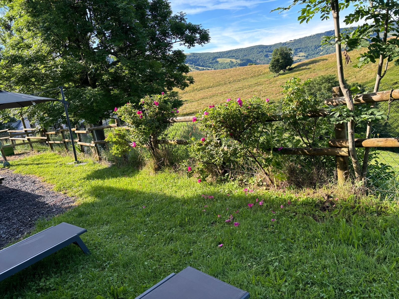 Photo n° 11 of the location