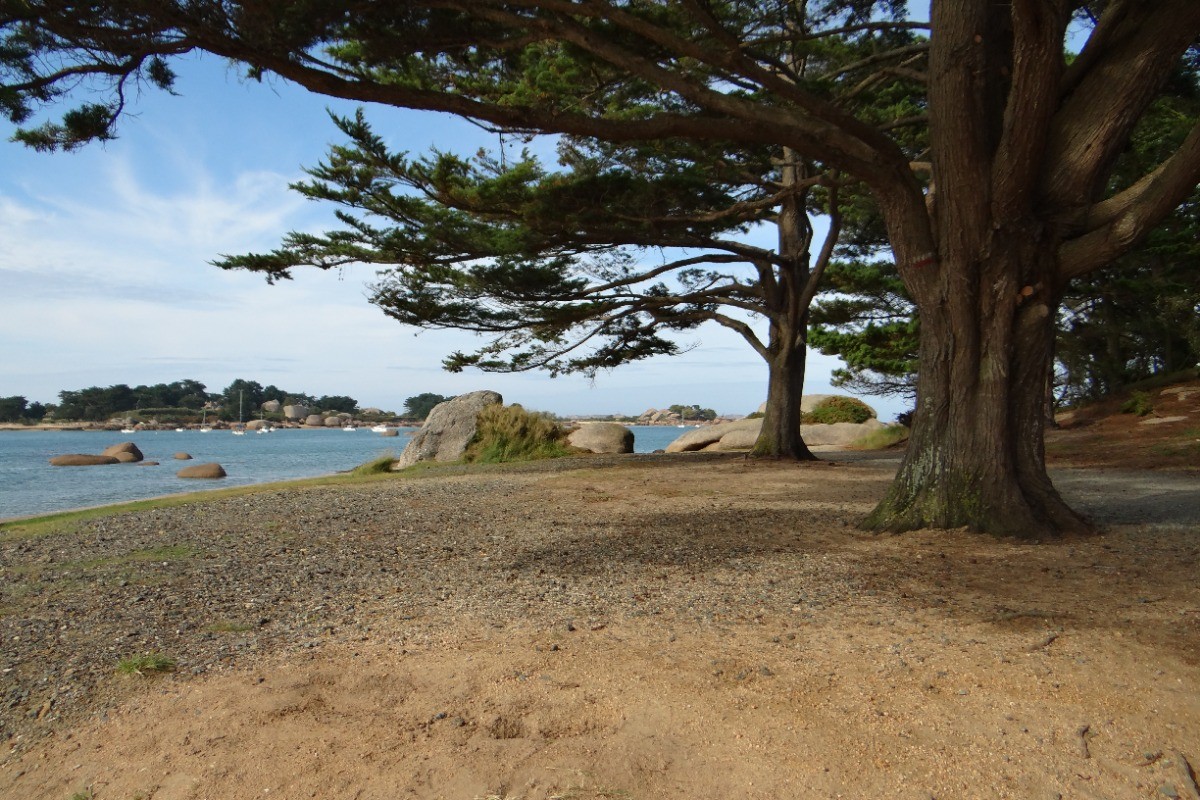 Une plage - Trégastel