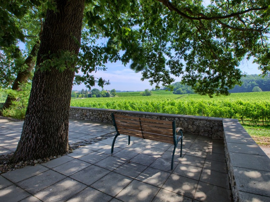 Chambre d'hôtes à Saint-Emilion