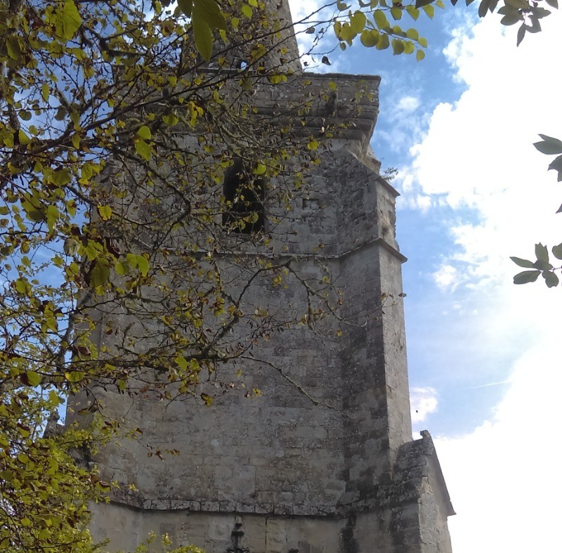 Le parc du chateau de Buzet