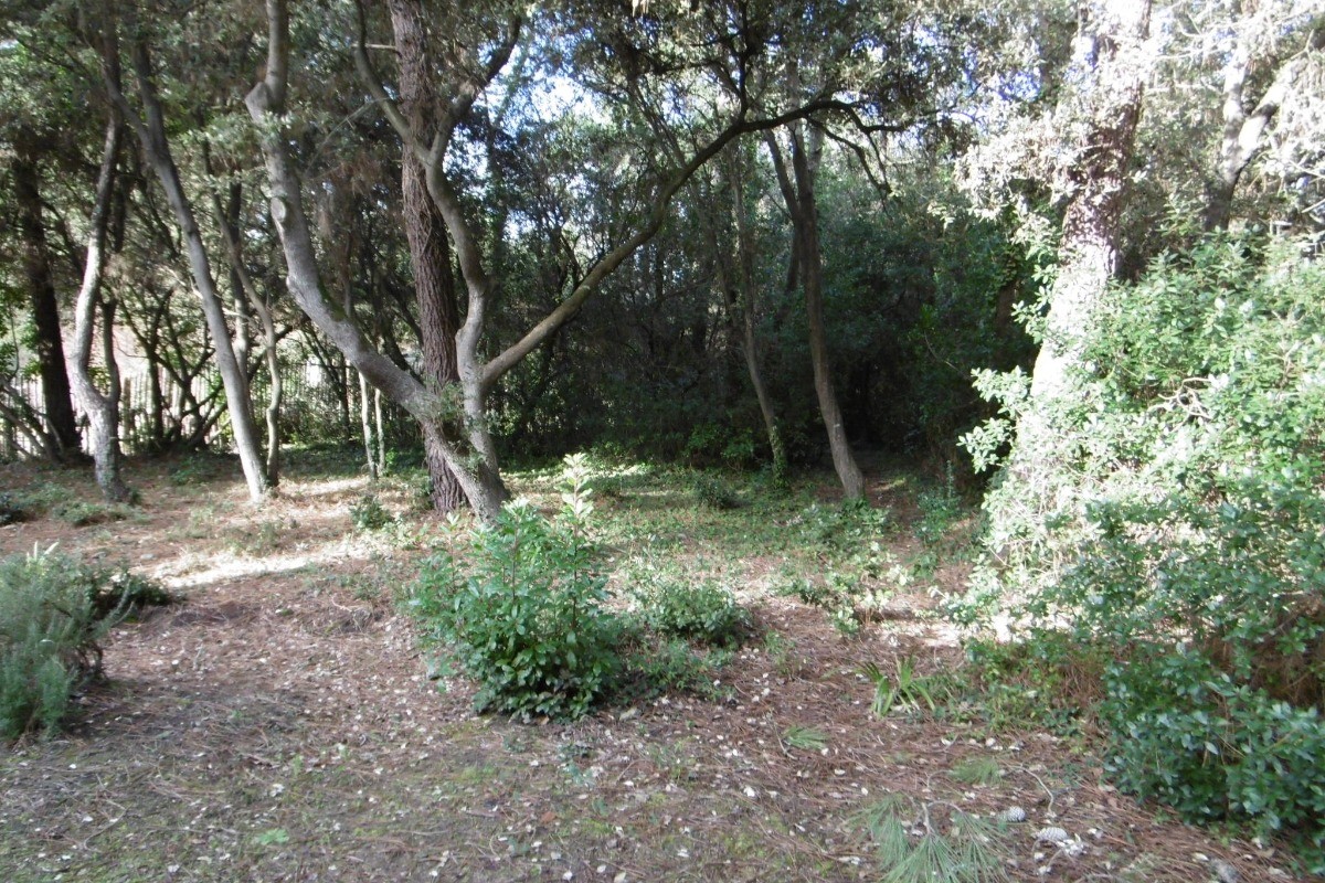 Photo n° 14 of the location
