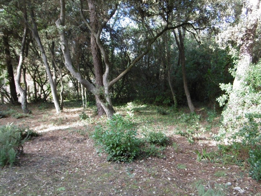 Photo n° 14 de la location