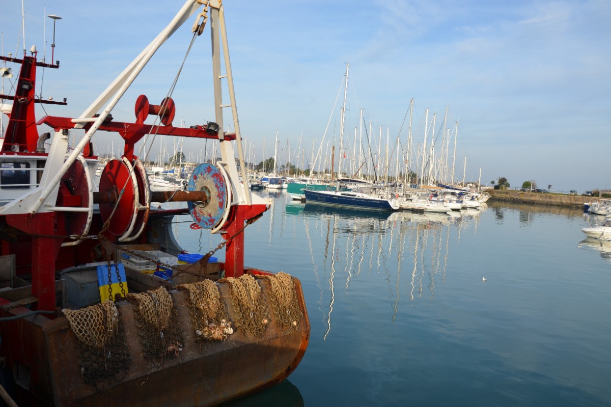 Photo n° 20 de la location
