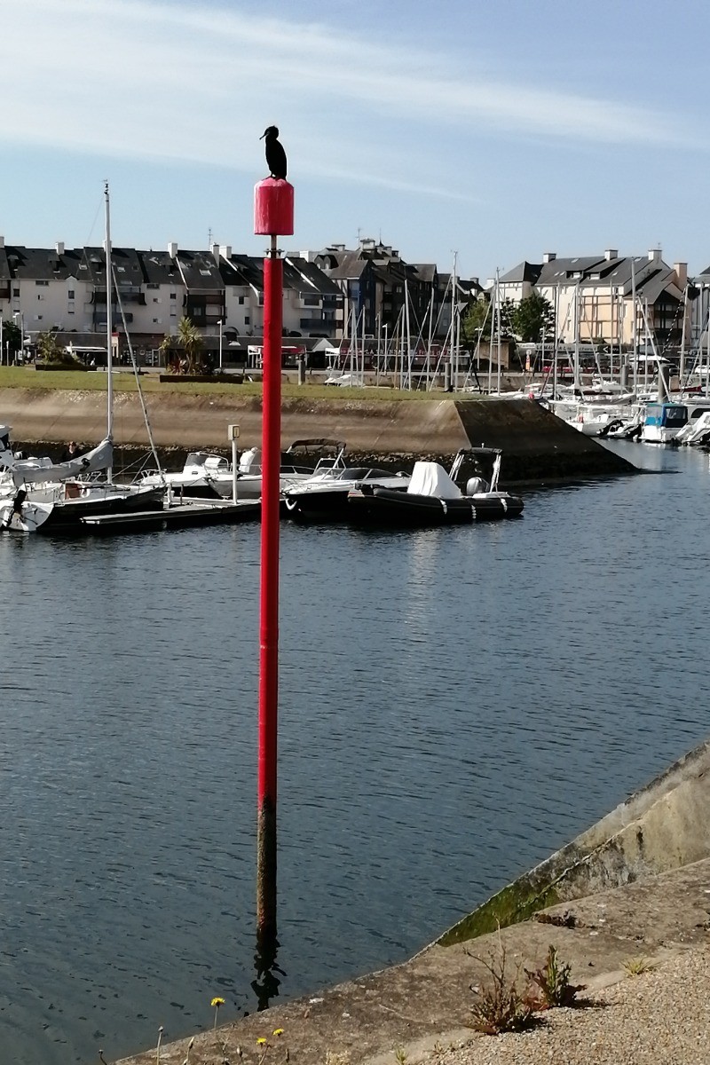 Photo n° 18 of the location