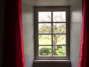 Photo n° 4 de la location