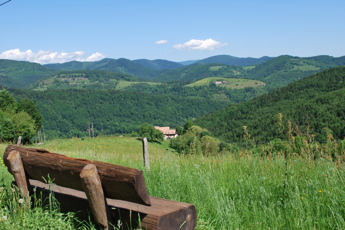 Le Petit Haut