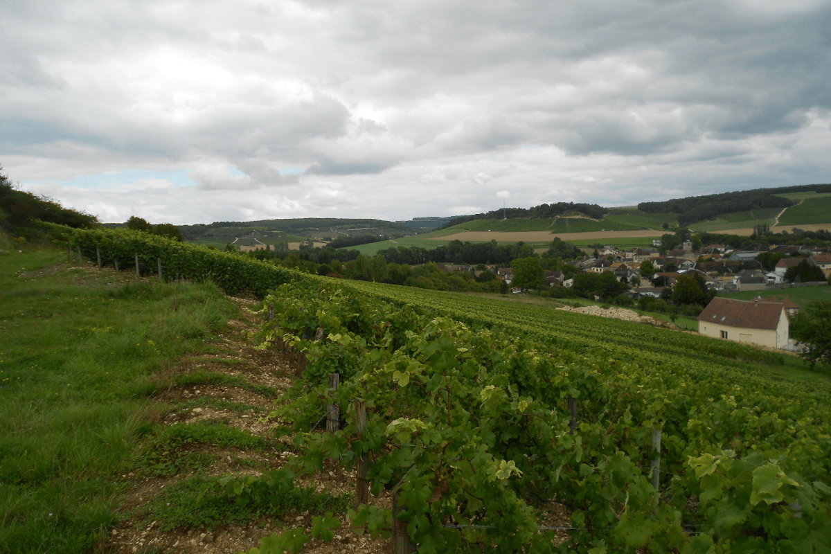 paysage de Meurville