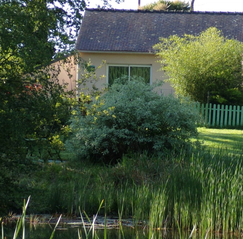 du coté de l'étang