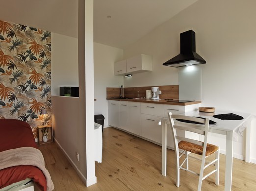 studio avec espace cuisine et couchage