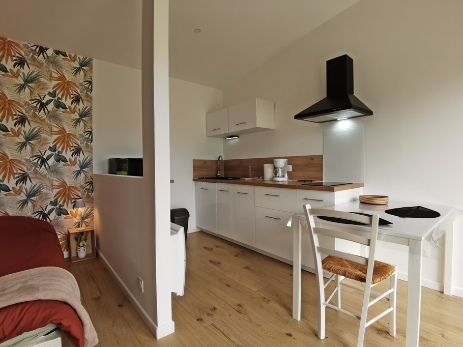 studio avec espace cuisine et couchage