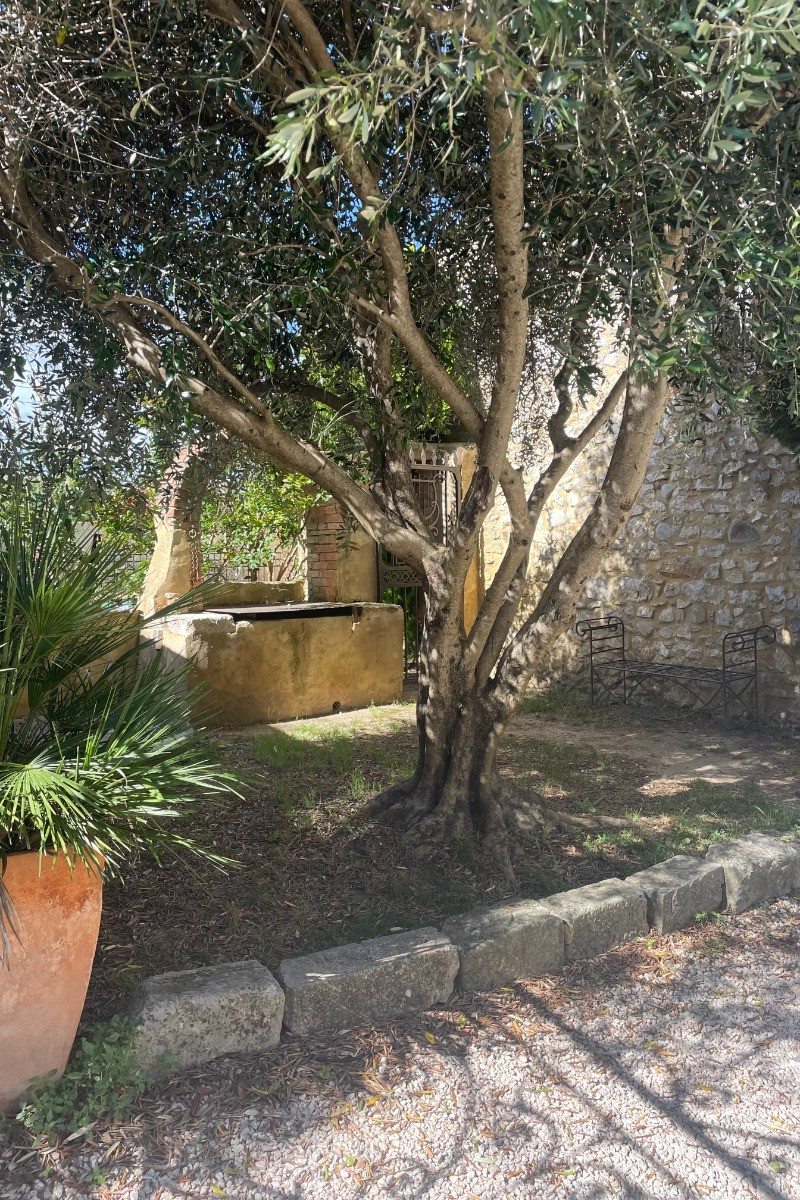 Photo n° 16 de la location