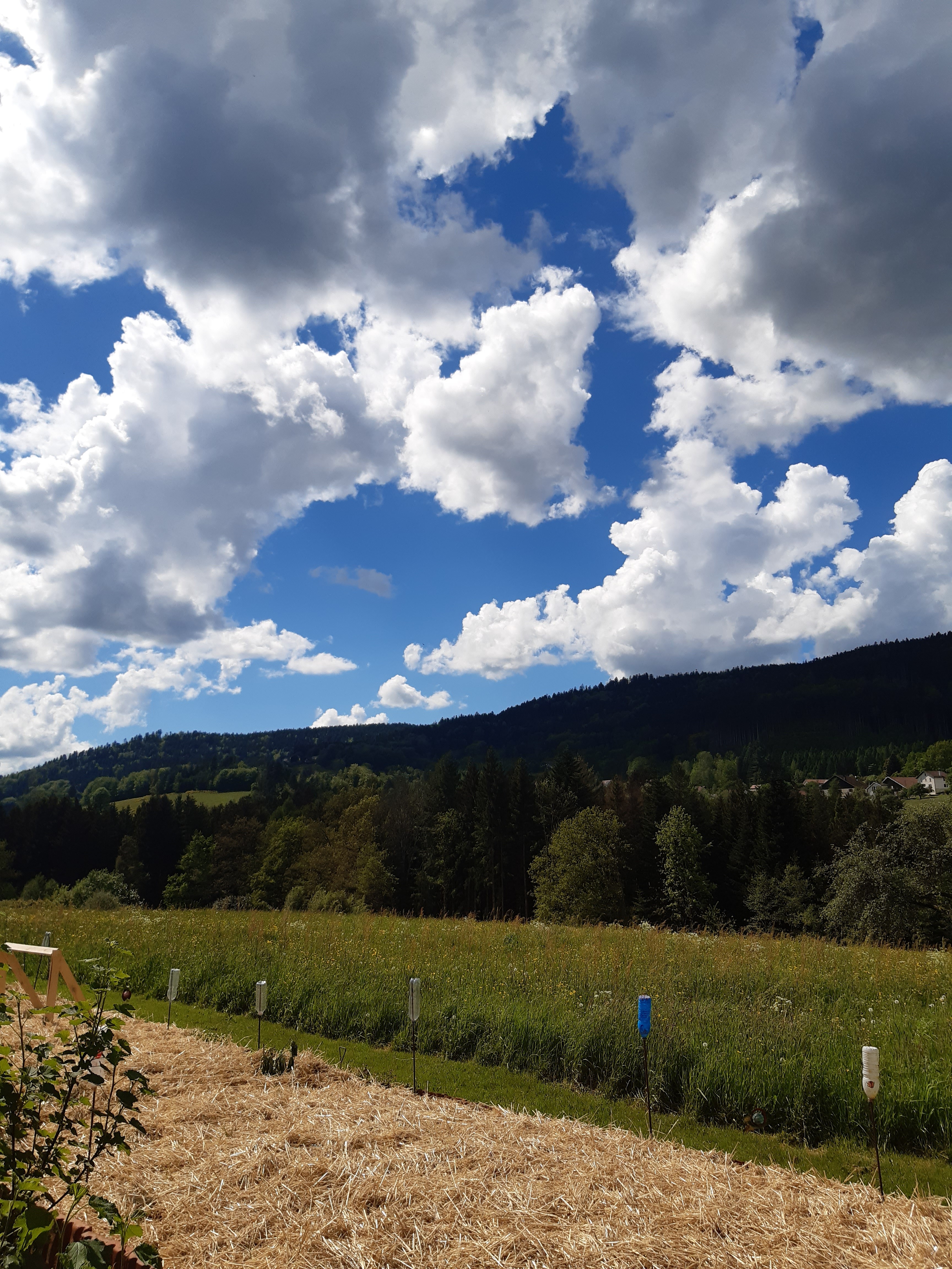 La Pimprenelle guest house: rest and nature - Vosges