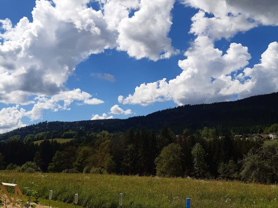 La Pimprenelle guest house: rest and nature - Vosges