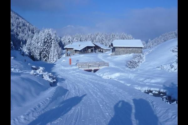 Photo n° 20 de la location