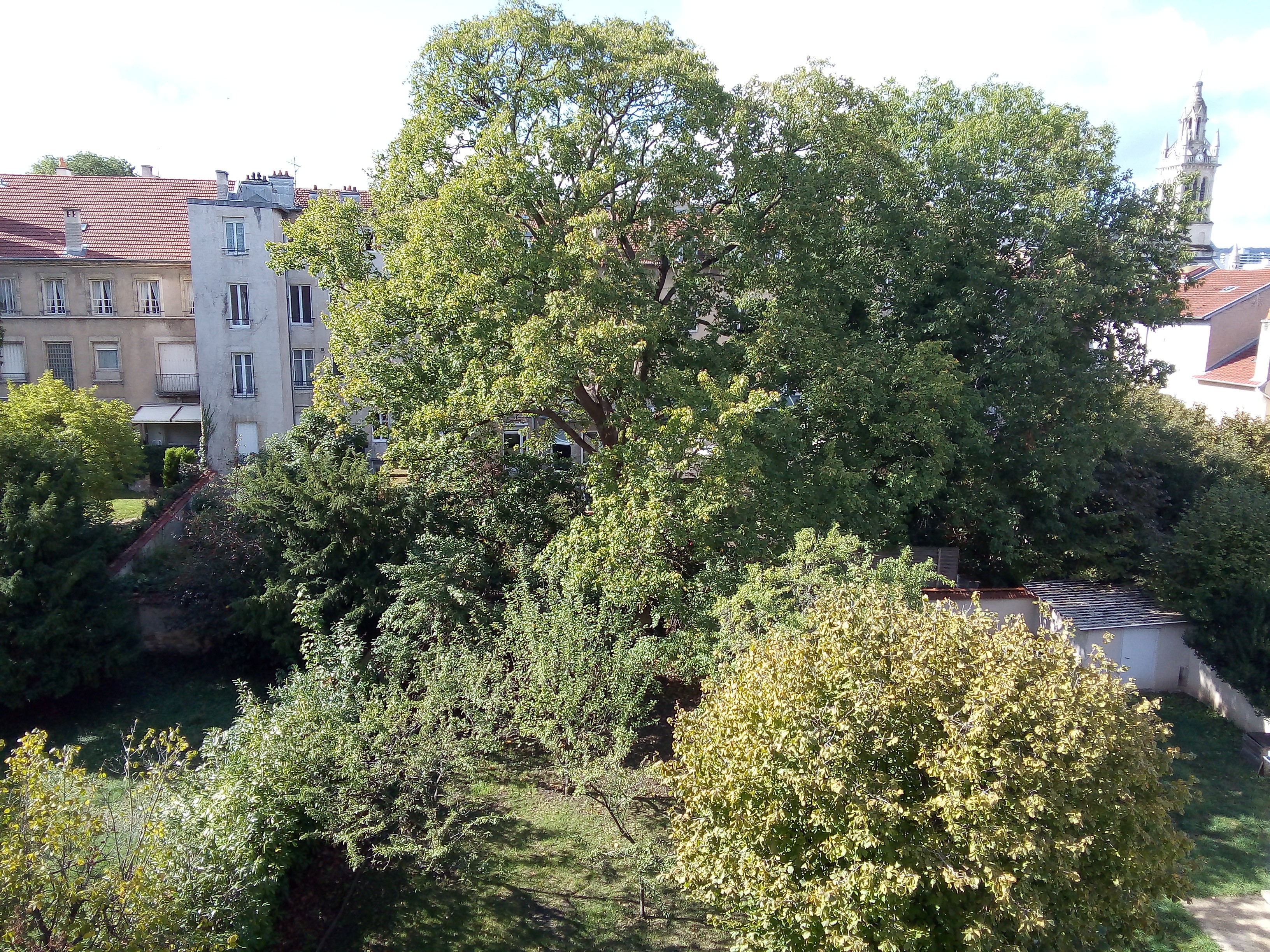 Garden view - Apartment Le Nancy Prouvé- Nancy