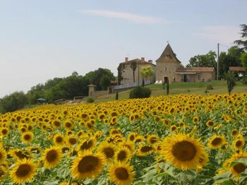 Pigeonnier dans les tournesols wwww.gitesdepeyrouton.fr
