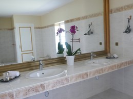 Salle de bain avec baignoire et douche