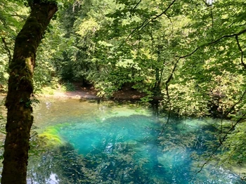 Source du Planey à 22 kilomètres de Bains Les Bains - Gîte Noé Container Maritime à Bains-les-Bains