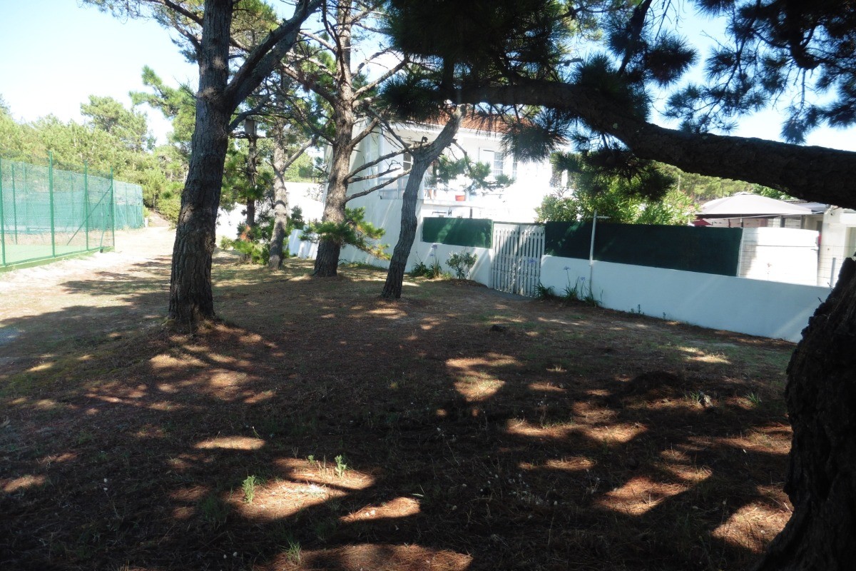 Photo n° 10 of the location