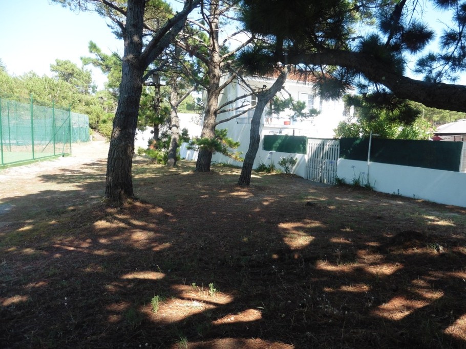 Photo n° 10 de la location