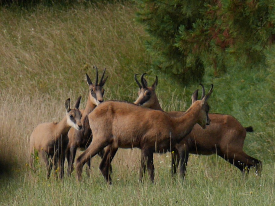 Photo n° 18 de la location