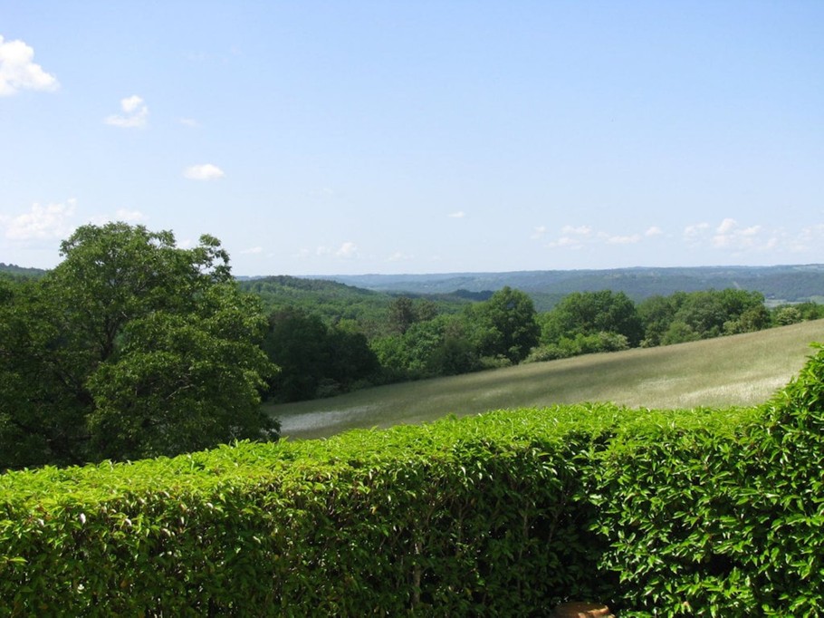 Cadre verdoyant avec vue