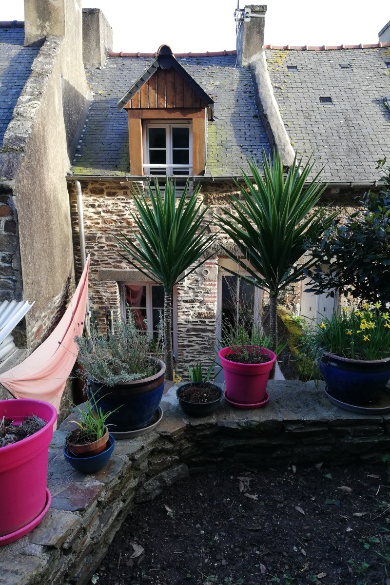 2ème terrasse avec future pelouse, transat... au milieu de la nature verdoyante, animée par le chant des oiseaux
