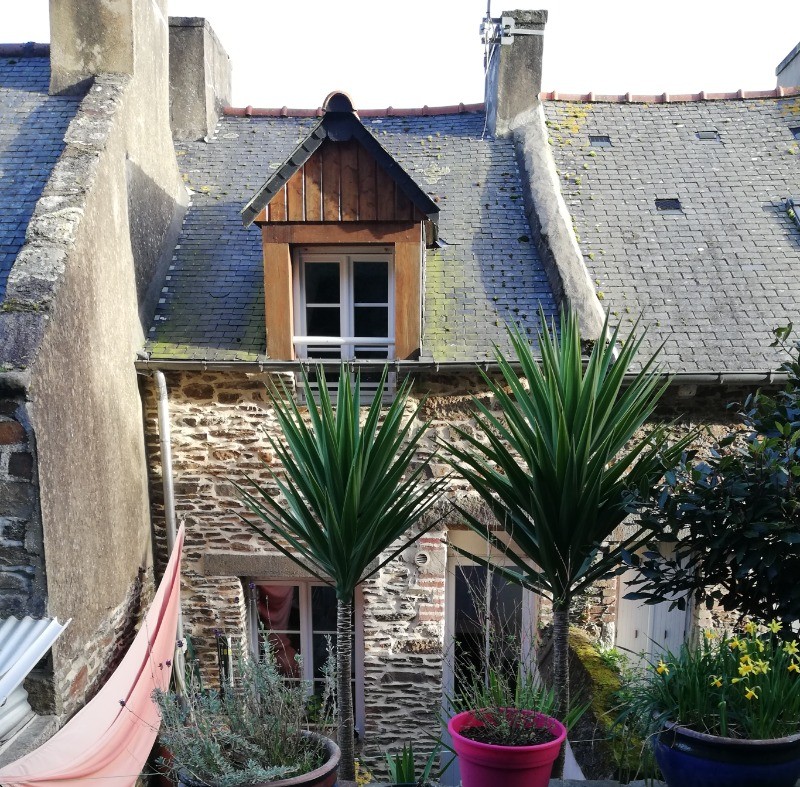 2ème terrasse avec future pelouse, transat... au milieu de la nature verdoyante, animée par le chant des oiseaux