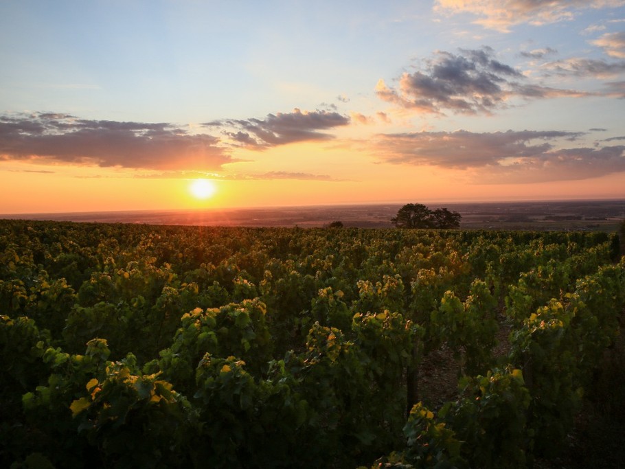 Photo n° 19 de la location