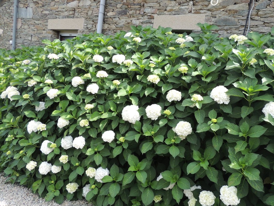 Photo n° 12 of the location