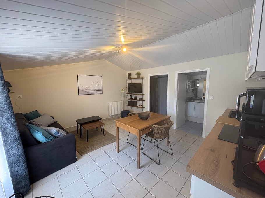 Living area/sleeping area