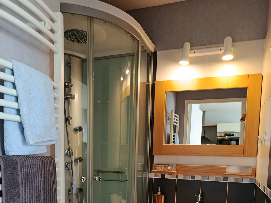 Shower room, separate WC