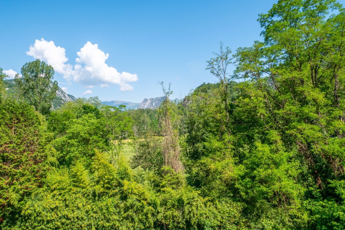 vue de l'appartement