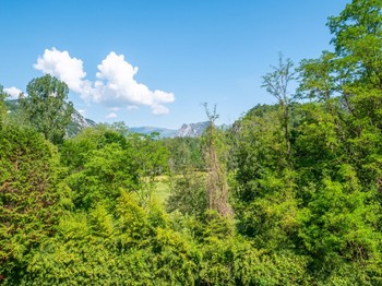 vue de l'appartement
