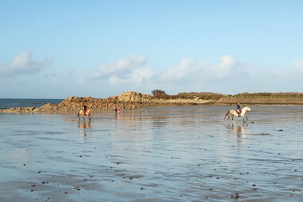Photo n° 12 de la location