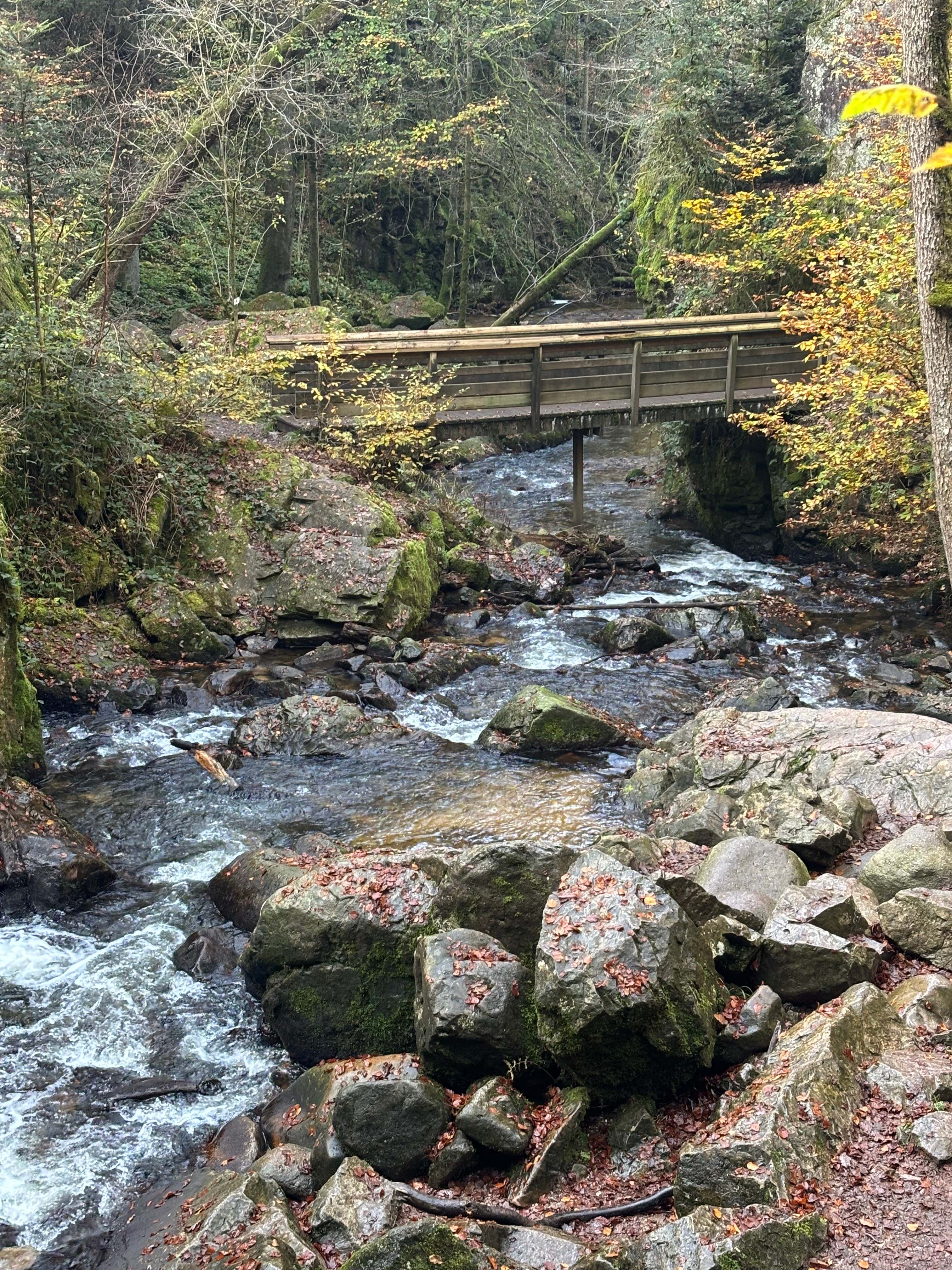 Photo n° 15 of the location