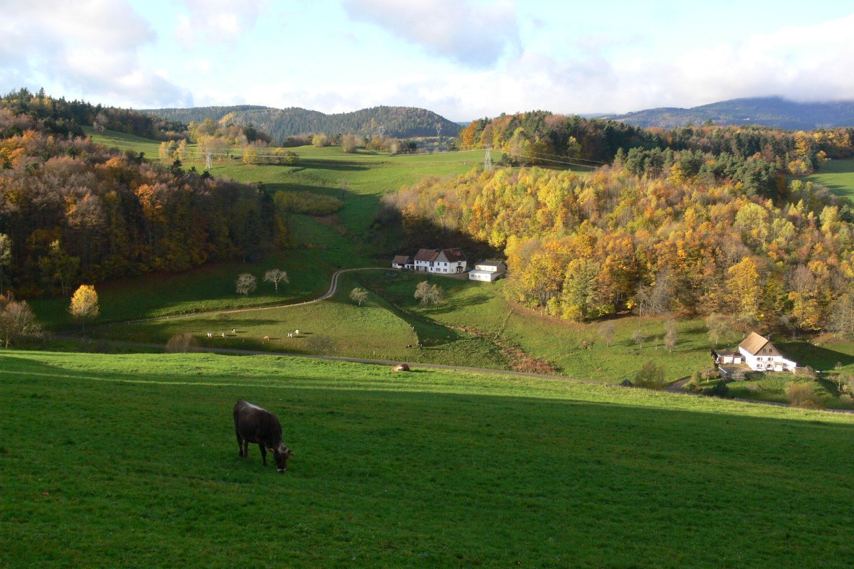 Photo n° 10 of the location