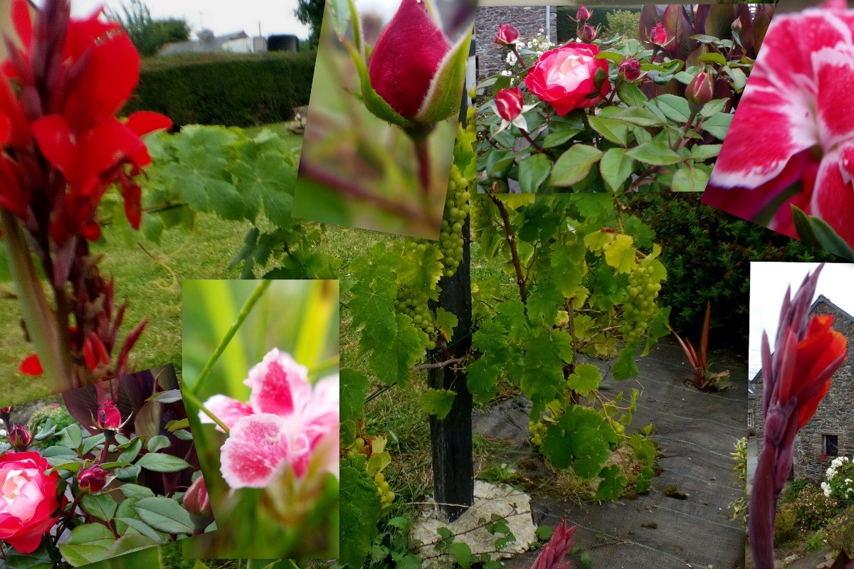 Environnement fleuri